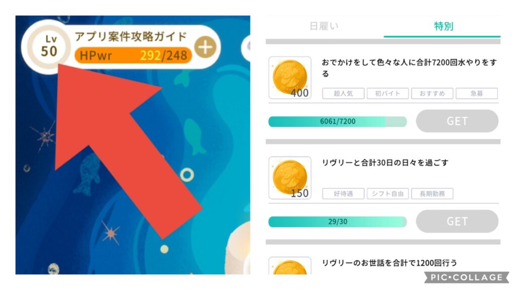29日間でホムレベル50を達成した実績画面。所要日数と水やり回数の推移データ。