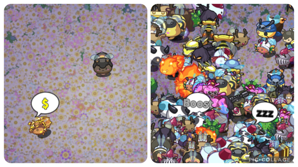 ハチミツコレクションの黄金の蜂と白銀の蜂の広告ボーナス内容 