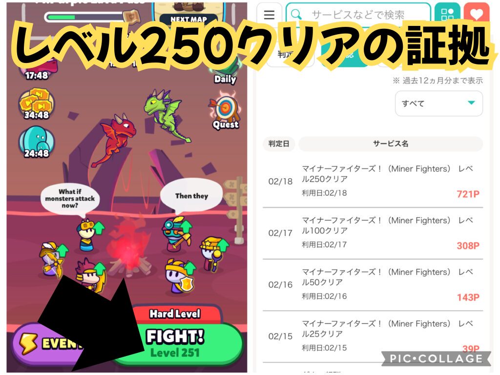 レベル250を達成した証拠となるゲーム画面とポイント通帳の画像。