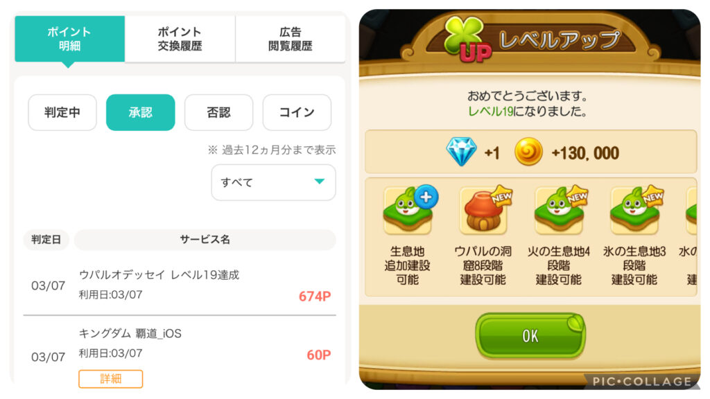 Lv19を達成した事が分かるゲーム内画像とLv19を達成してポイントを獲得した証拠のポイント通帳の画像