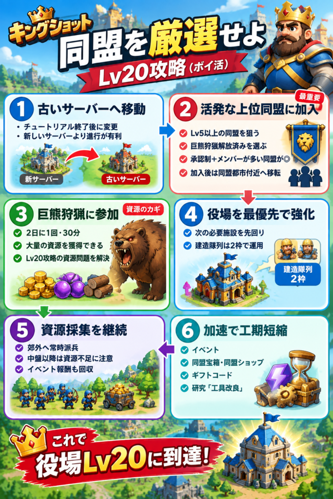 キングショットの役場Lv20攻略法を6段階でまとめた縦長の攻略図解。①チュートリアル終了後に新しいサーバーではなく古いサーバーへ移動、②Lv5以上で巨熊狩猟が解放されている活発な上位同盟を厳選して加入し同盟都市付近へ移転、③2日に1回開催される巨熊狩猟に参加して大量の資源を獲得、④役場レベルアップを最優先し次の強化に必要な施設を先回りして建設、建造隊列2枠を活用、⑤郊外での資源採集を継続して中盤以降の資源不足を防ぐ、⑥イベントや同盟宝箱・同盟ショップ・ギフトコード・研究「工具改良」などで入手した加速手段を活用して建設時間を短縮し、最終的に役場Lv20への到達を目指す流れを示している。 