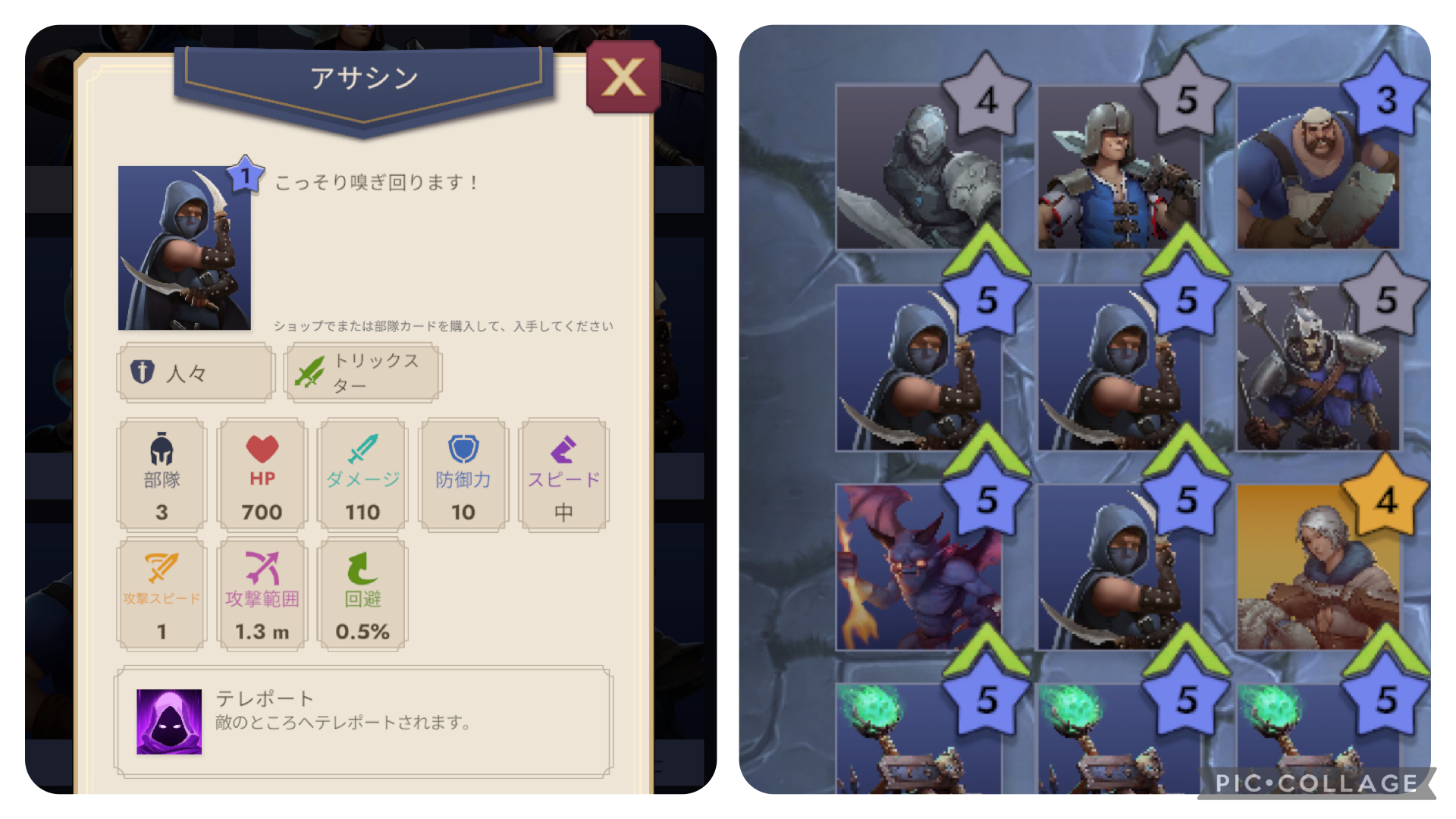 アサシンの詳細と配置画像