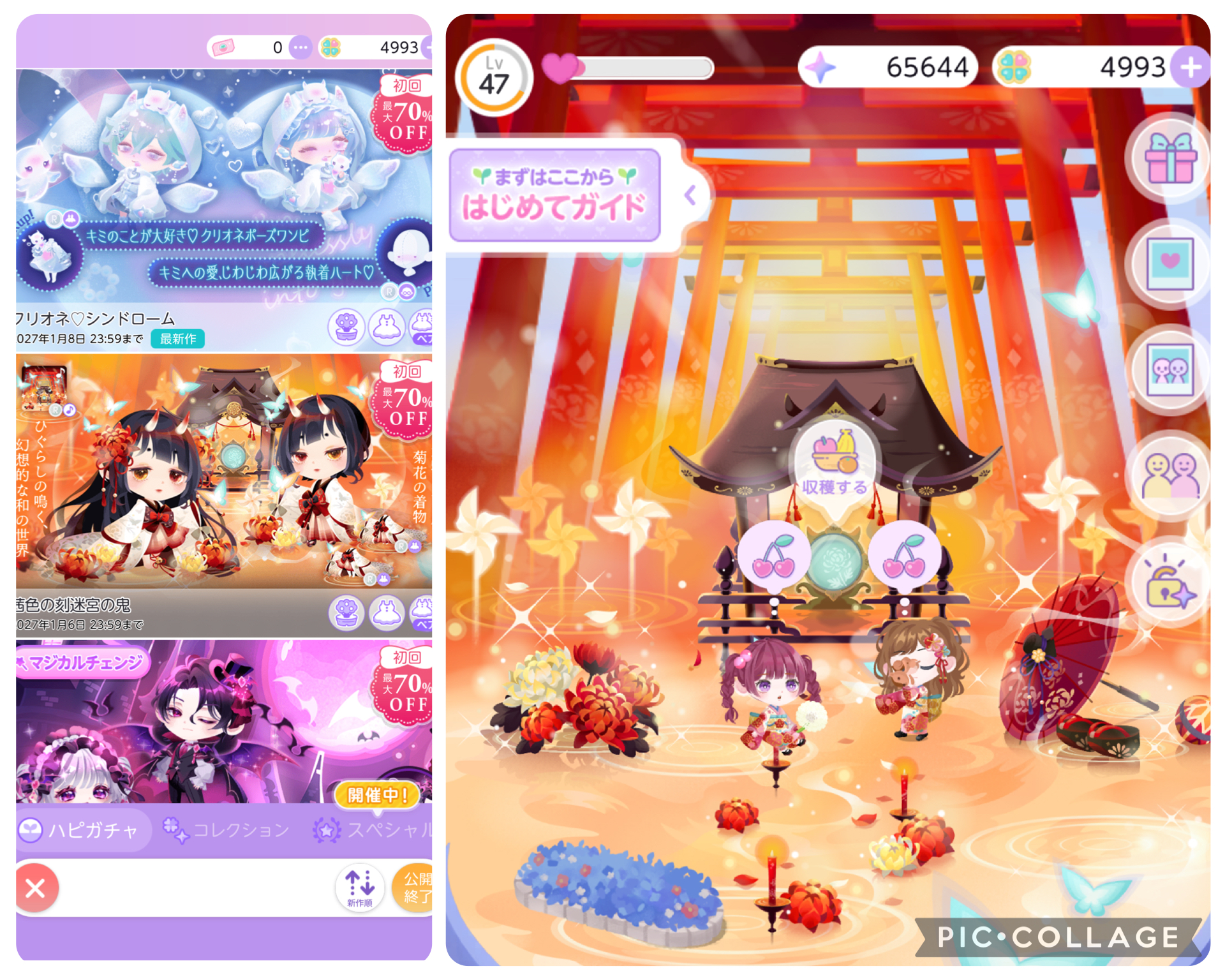 ハピで回せるガチャと、実際にハピでガチャを回して豪華でかわいい、課金勢にも劣らない島を作れた際の画像。